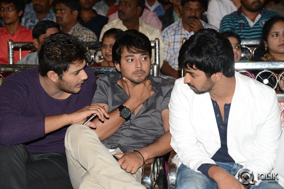 Bunny-N-Cherry-Movie-Audio-Launch